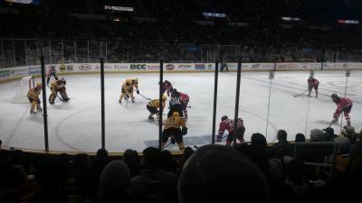 picture #8
