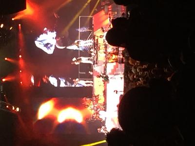 picture #8