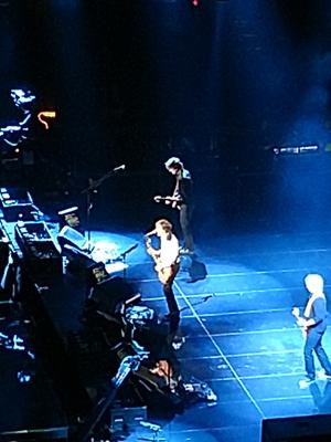 picture #8