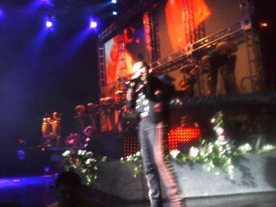 picture #26