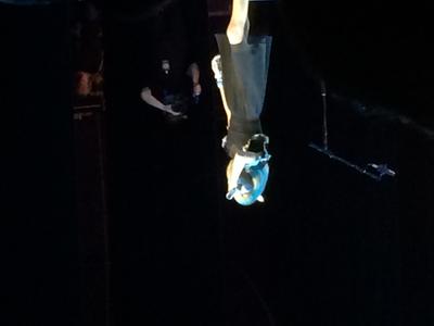 picture #8