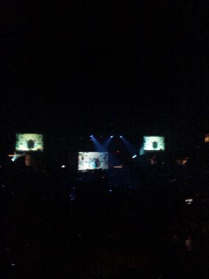 picture #8