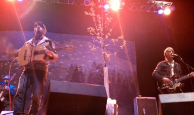 picture #8