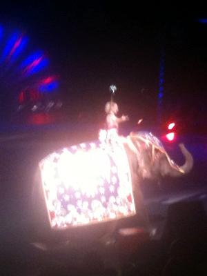 picture #52