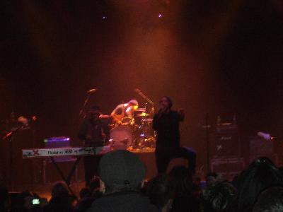 picture #8