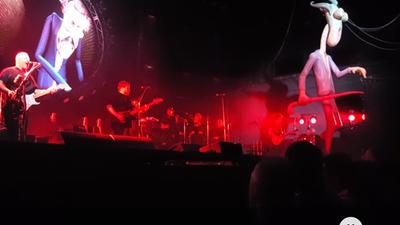picture #38