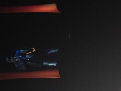 picture #8