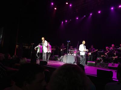 picture #41