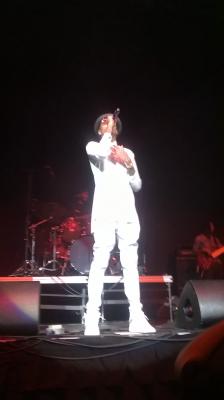 picture #12