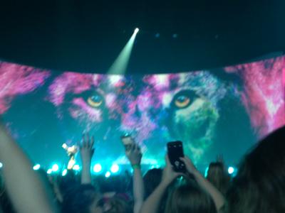 picture #84