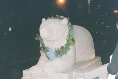 picture #46
