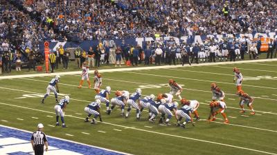 picture #12