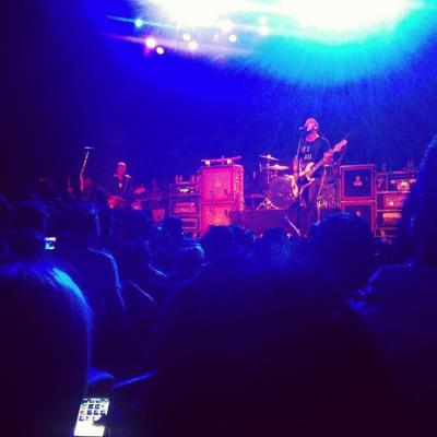 picture #8