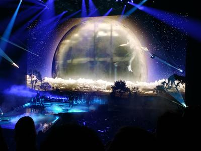 picture #9
