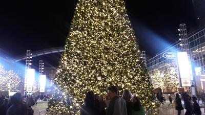 picture #8