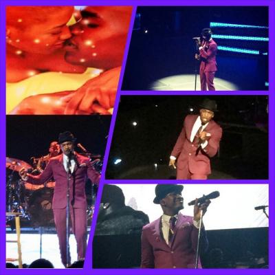 picture #8