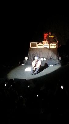 picture #8