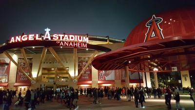 picture #62