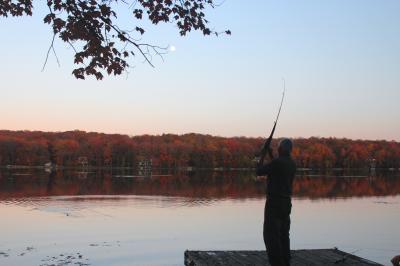 picture #36