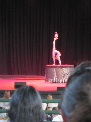 picture #6