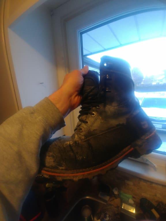 Been a tough year but they're still hanging in there!