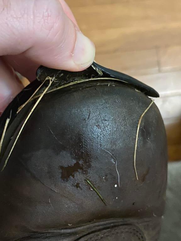 Photo submitted with review of product