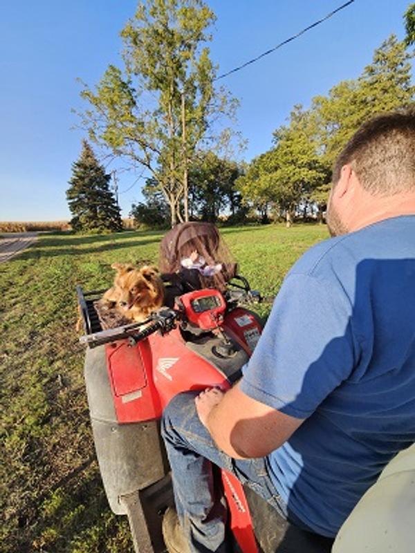 Everyone fits, are secure, and are strapped in safely