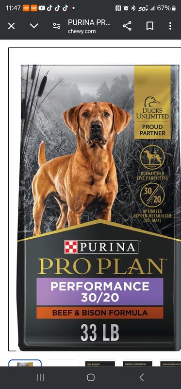 30/20 During Hunting season 20/16 in the off season