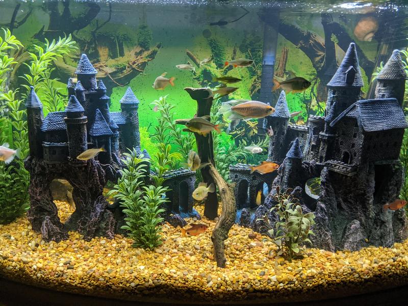 Left and right sections