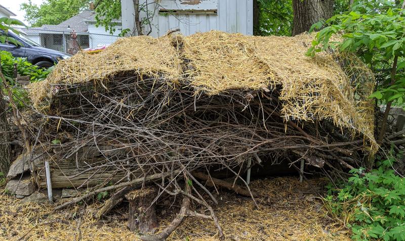 Hay on top of brush pile