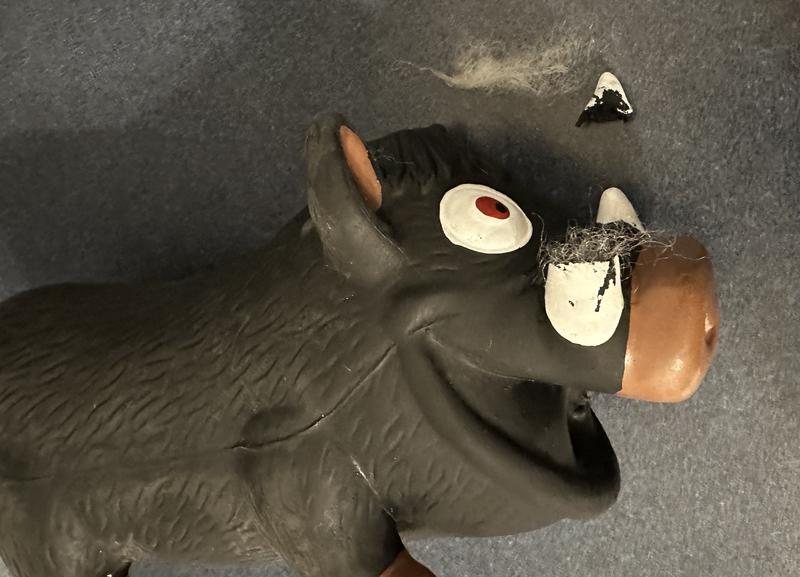 Ripped by a 6mo 16lb puppy