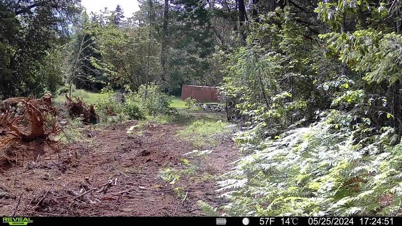 new driveway coming in