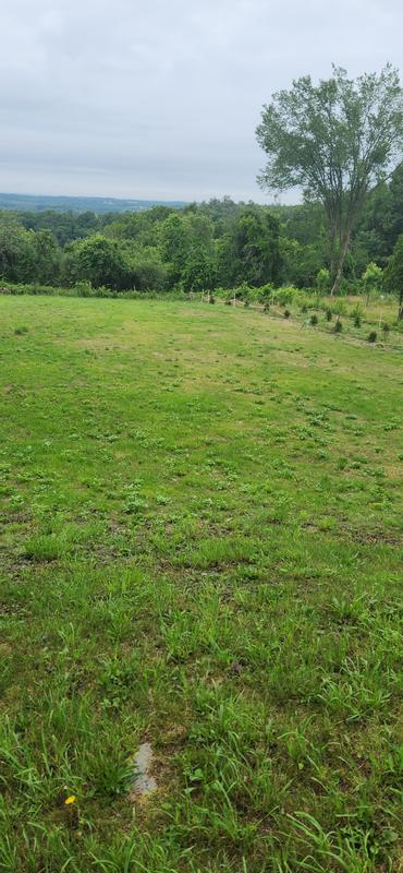 Was entirely bare and only used seed and straw