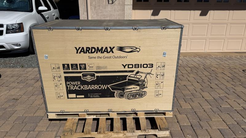 Delivered in excellent packaging