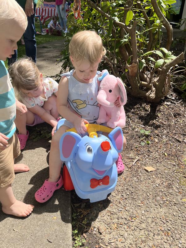 2 year old Birthday Party