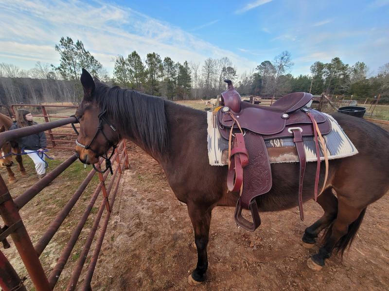 Only 3 weeks on this feed and she is looking so much better