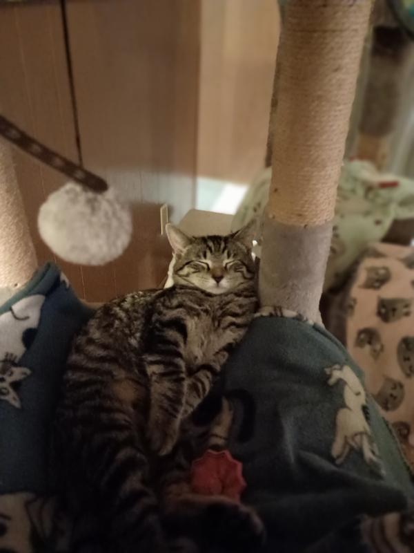 Rosie baby mama Lexi my girls