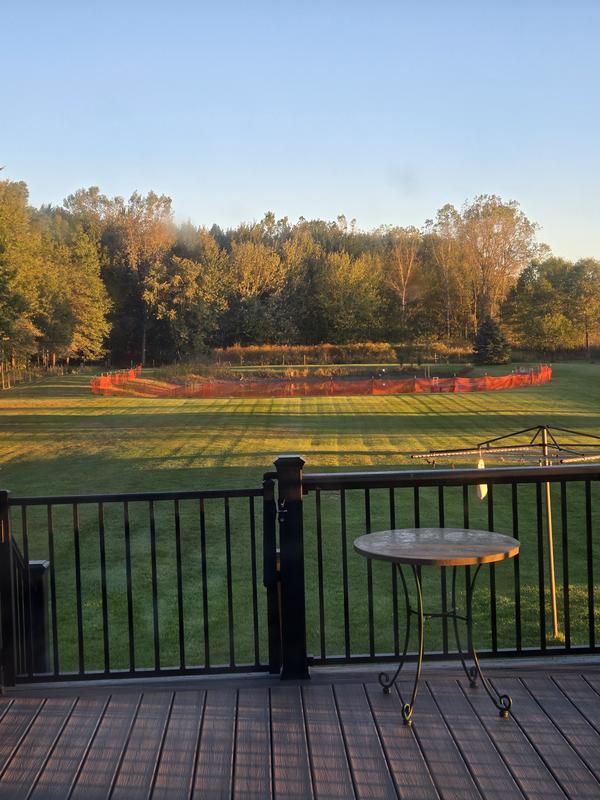 Pictured for reference