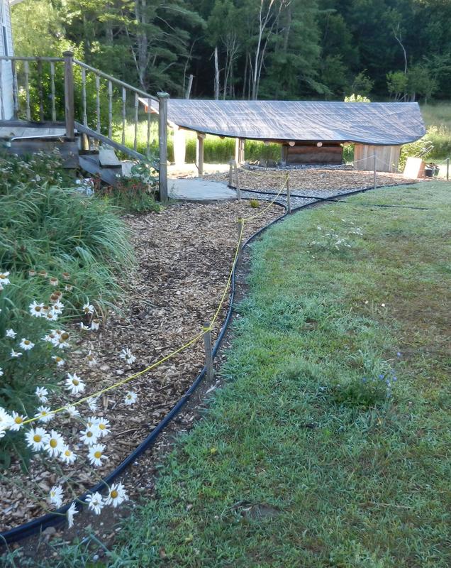 Arcs and curves came out well.