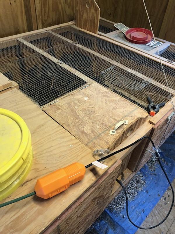 Quail cage heater solution