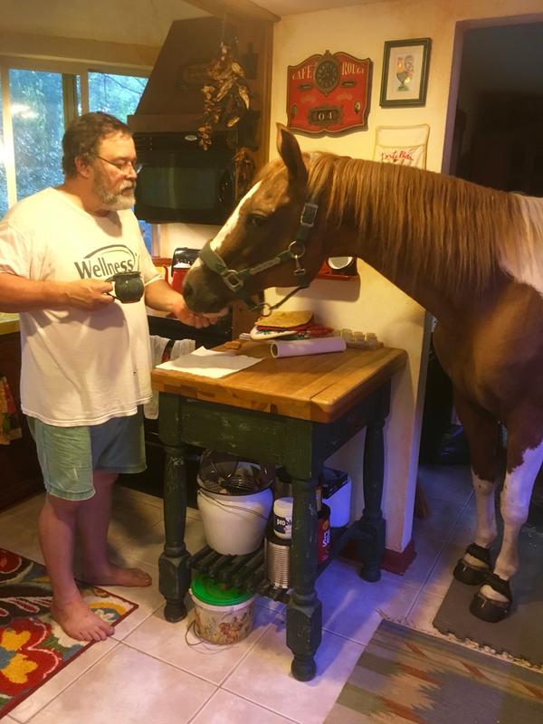 The water came up so fast & high, we had to bring her in the house. Getting her treat!