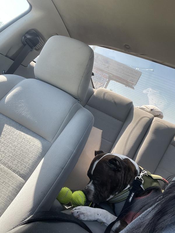 Couldn’t wait till home