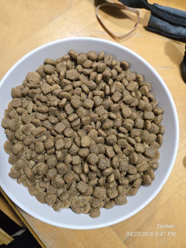 they wolf there food down