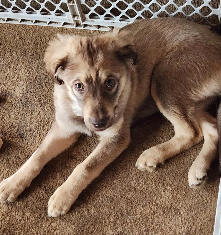 She's a medium size.