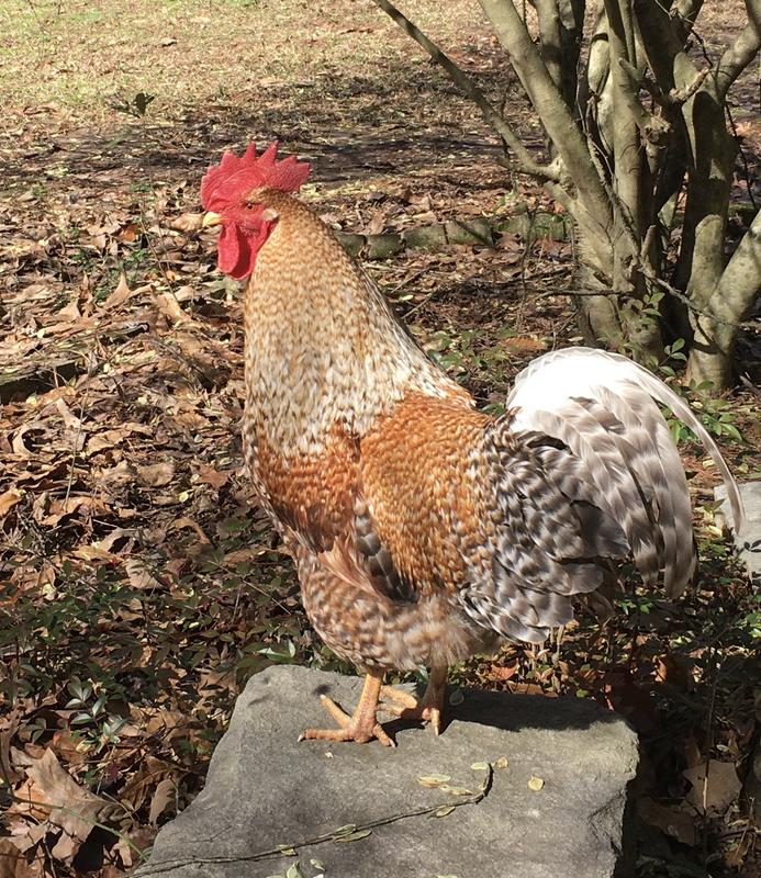 Did not open or close door