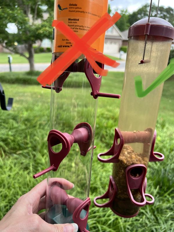 Birds don’t like the pegs on this feeder