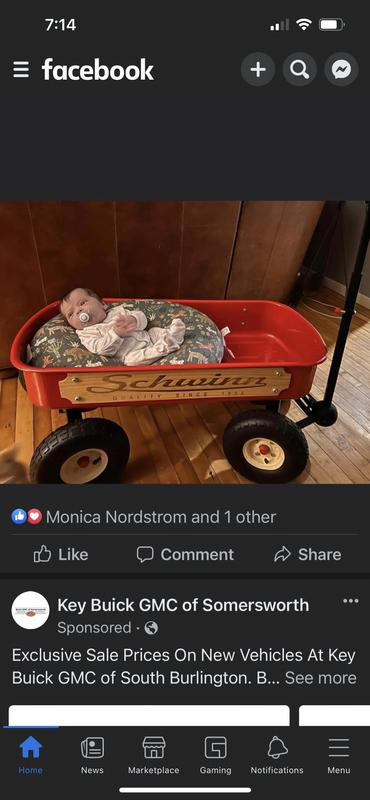 My grandson with his wagon