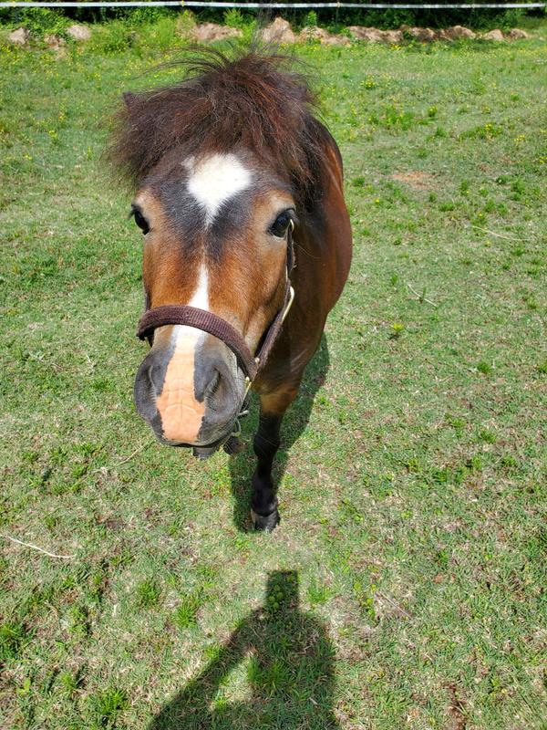 Dusty loves his treats!