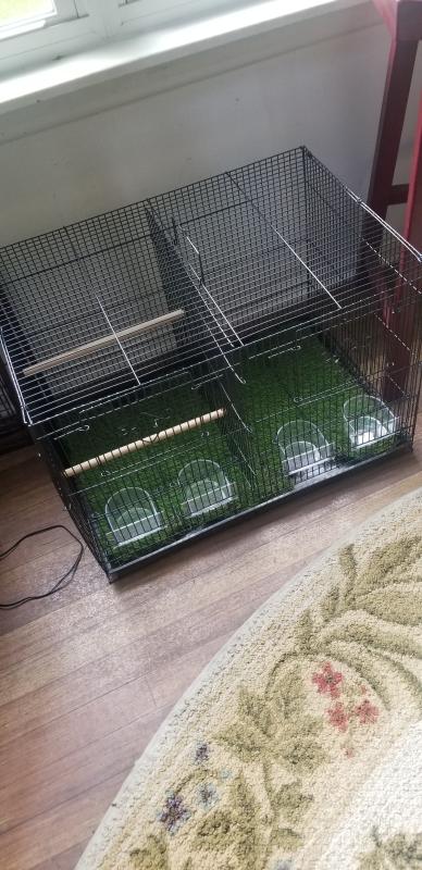 I put artificial grass in the bottom. It looks fine but no matter how I arranged it the dowels would only fit on one side. Too complicated to take apart and return. Oh well.