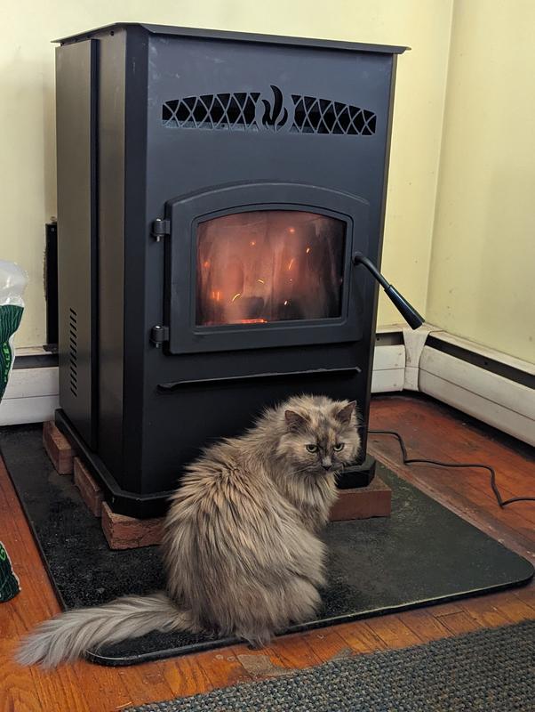 Mazie's favorite spot.